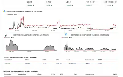 Dashboards for automotive – custom solutions