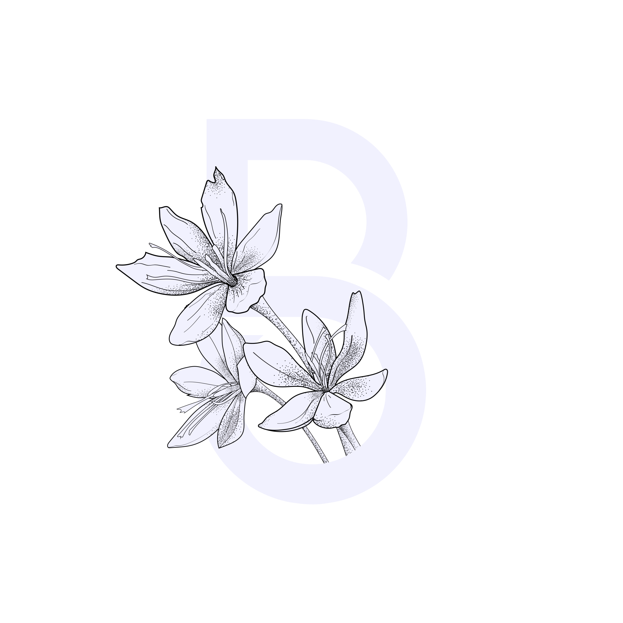 B flower brandfinity white Brandfinity logo